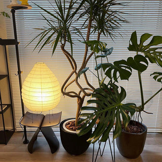 Akari 22N Table Lamp