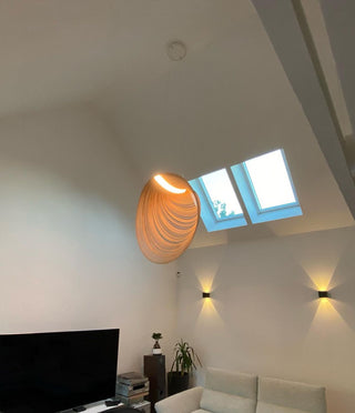 Art Float Pendant Lamp