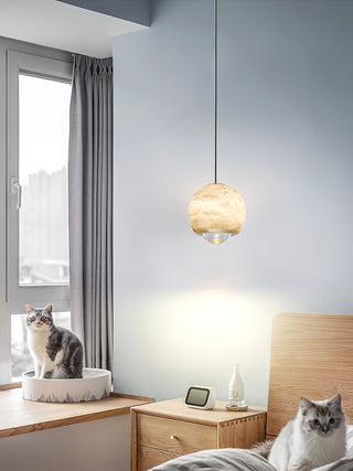 Ferox Pendant Light