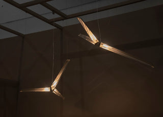 Fragment 10 Pendant Light