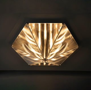 Fragment Celing Lamp