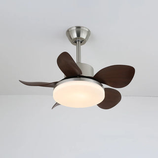 Modern Minimalist Walnut Ceiling Fan Light