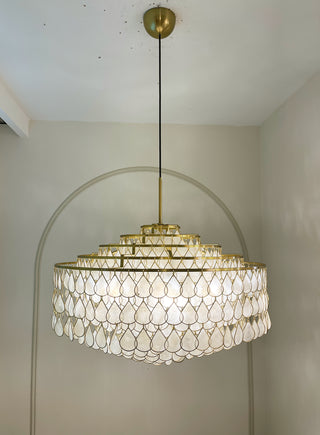 Shell Teardrops Pendant Light