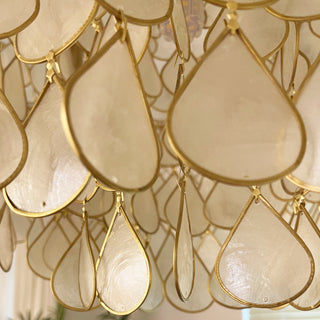 Shell Teardrops Pendant Light