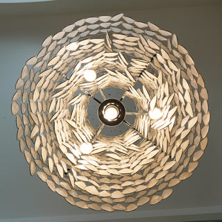 Shell Teardrops Pendant Light