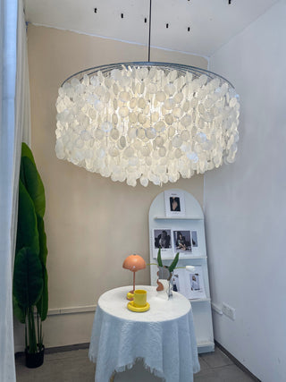 Shell Pendant Light