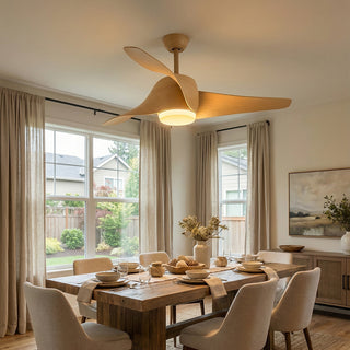 Verdantia Aero Three Blade Ceiling Fan Light