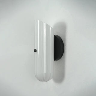 Delphine Fluted Glass Wall Sconce