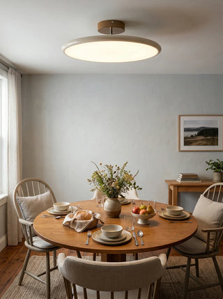 Drift Adjustable Slim Lampshade Ceiling Light