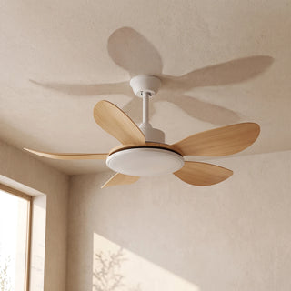 Minimalist Brinley Ceiling Fan Lights