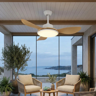Minimalist-Brinley-Ceiling-Fan-Lights-Vidirlighting3_1 - Vidirlighting