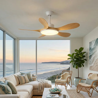 Minimalist-Brinley-Ceiling-Fan-Lights-Vidirlighting3_14 - Vidirlighting