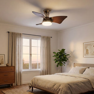 Minimalist Calix 3 Blade Ceiling Fan Light
