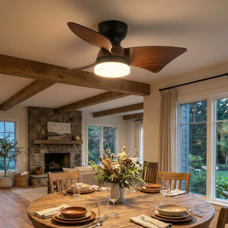 Minimalist Calix 3 Blade Ceiling Fan Light