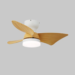 Minimalist Calix 3 Blade Ceiling Fan Light
