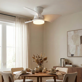 Minimalist Calix 3 Blade Ceiling Fan Light