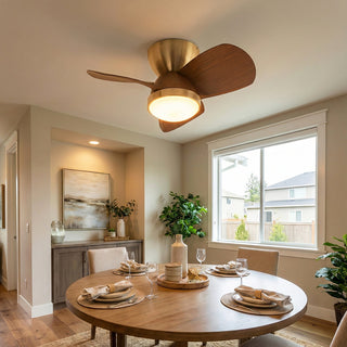 Minimalist Miroter Ceiling Fan Light