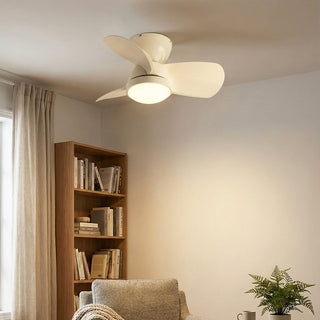 Minimalist Miroter Ceiling Fan Light