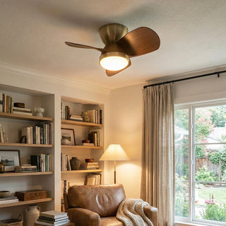 Minimalist Miroter Ceiling Fan Light