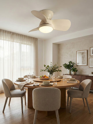 Minimalist Miroter Ceiling Fan Light