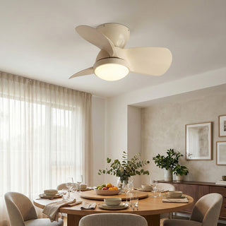 Minimalist Miroter Ceiling Fan Light