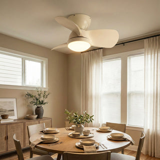 Minimalist Miroter Ceiling Fan Light