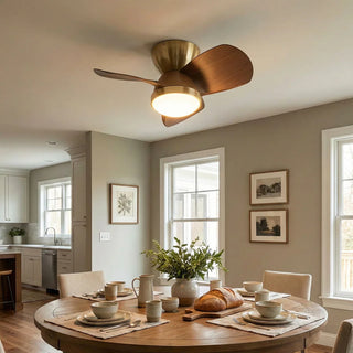 minimalist-miroter-ceiling-fan-light-Vidirlighting_7 - Vidirlighting