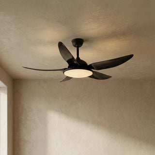 Modern-Curved-Blade-Ceiling-Fan-Light-Vidirlighting3_7 - Vidirlighting