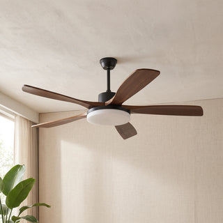 Modern Keltis Fan Blade Ceiling Fan Lights