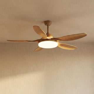 Modern-Keltis-Fan-Blade-Ceiling-Fan-Lights-Vidirlighting3_13 - Vidirlighting