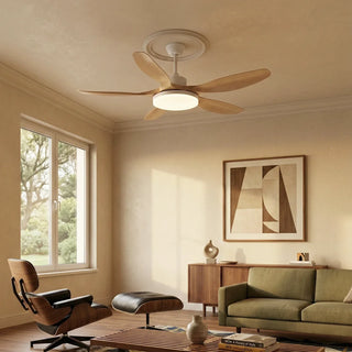 Modern-Keltis-Fan-Blade-Ceiling-Fan-Lights-Vidirlighting3_7 - Vidirlighting
