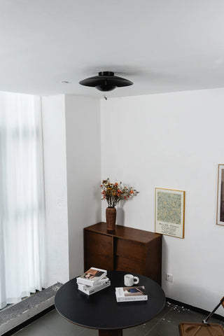 Solen Dish Flush Mount Ceiling Light