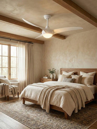 Streamlined Traditional Ceiling Fan Light