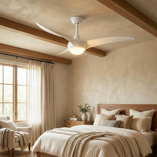 Streamlined Traditional Ceiling Fan Light
