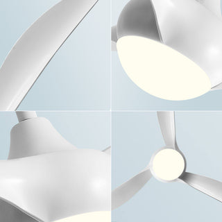 Streamlined Traditional Ceiling Fan Light