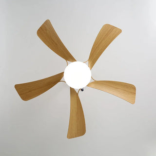 Stylish-Aveline-Five-Blade-Ceiling-Fan-Light-Vidirlighting4_3 - Vidirlighting