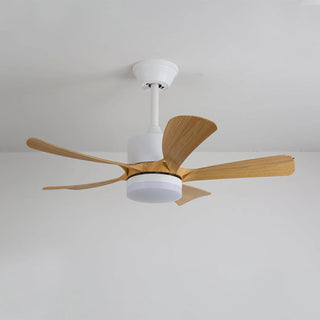 Stylish-Aveline-Five-Blade-Ceiling-Fan-Light-Vidirlighting4_5 - Vidirlighting