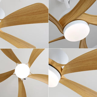 Stylish-Aveline-Five-Blade-Ceiling-Fan-Light-Vidirlighting4_6 - Vidirlighting