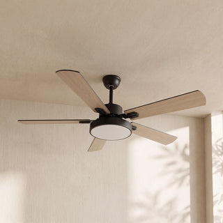 Zepyra Modern Industrial Style Ceiling Fan Light